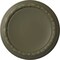 Ekena Millwork Carlsbad Ceiling Medallion (Fits Canopies up to 14 1/4"), 19 1/2"OD x 1 3/4"P, Painted Turtle CM19CAPTF - alternate 1